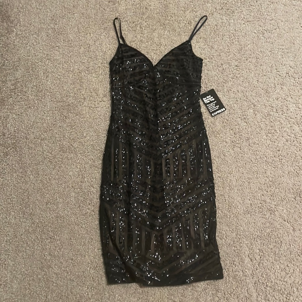 Express sequins dress